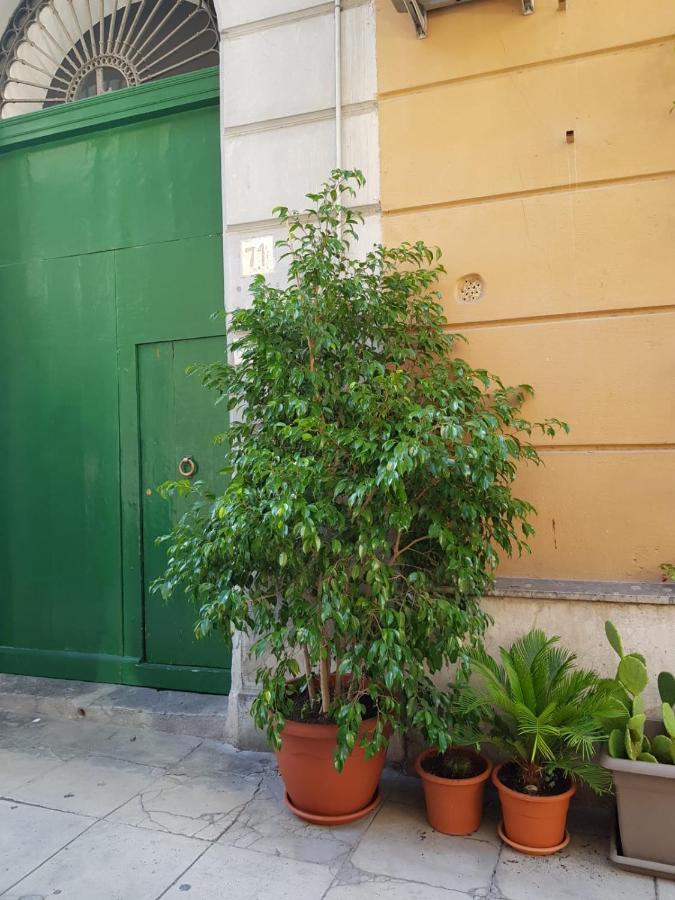 Apartment Casa Moneka Politeama